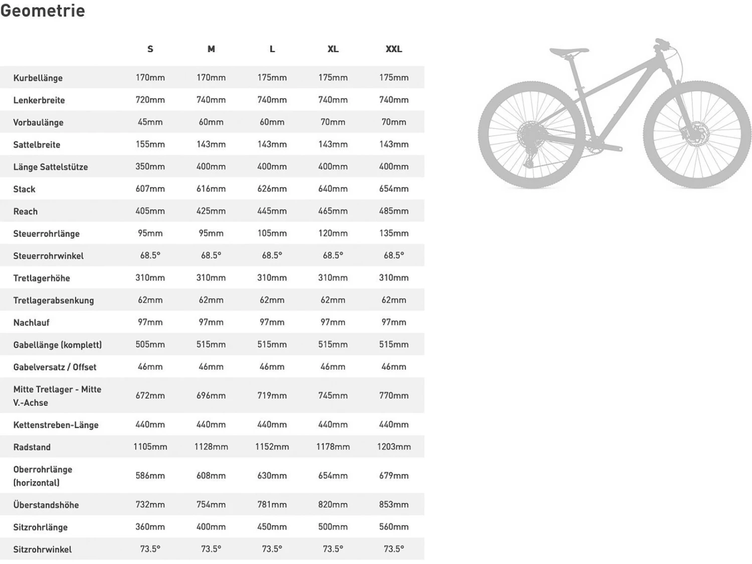 Specialized Rockhopper Expert 29, Lagoon Blue/light Silver 5 Specialized Rockhopper Expert 29, Lagoon Blue/light Silver – Bild 5