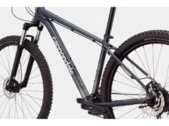 ***2. Wahl*** Cannondale Trail 6 - 29 Slate Gray 2022 -Fahrrad Paradies Geschaft 07d18cd5 a992 4c40 9b28 40be16a82d44