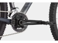 ***2. Wahl*** Cannondale Trail 6 - 29 Slate Gray 2022 -Fahrrad Paradies Geschaft 113c48ca 1678 45f0 934a 0869d0251042
