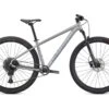 Specialized Rockhopper Expert 29, Silver Dust/black Holographic