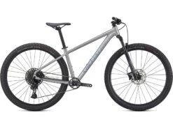 Specialized Rockhopper Expert 29, Silver Dust/black Holographic