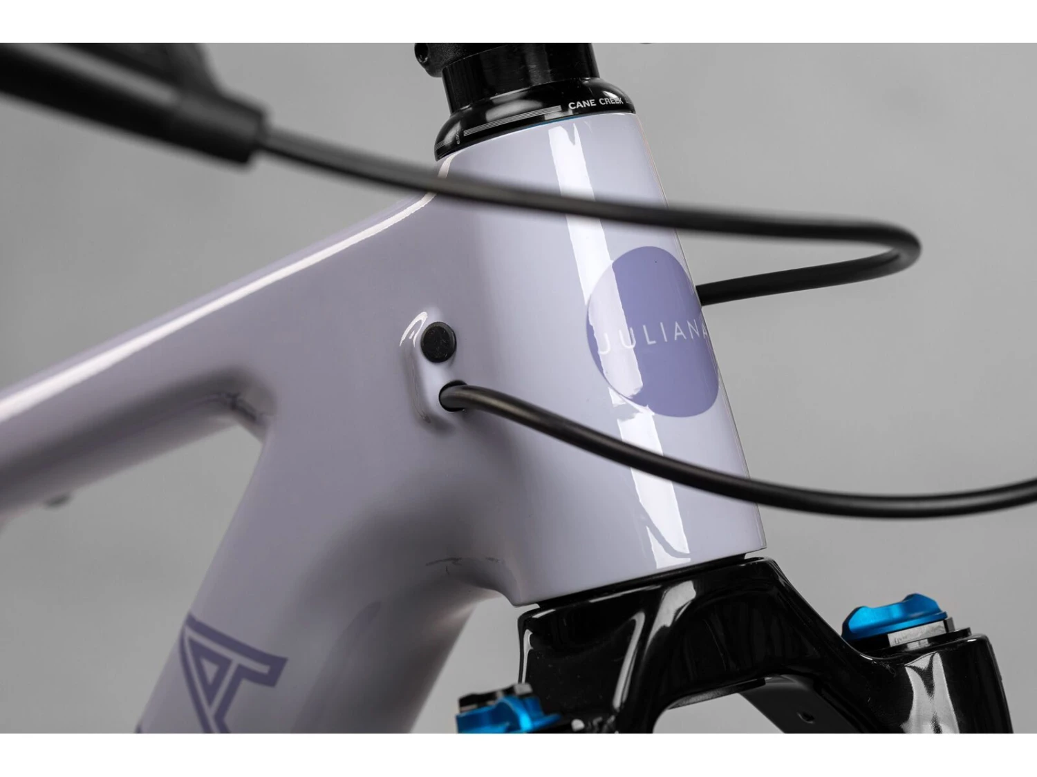 Juliana Wilder C / R / TR / 29, Purple Sweetness / Lavender 3 Juliana Wilder C / R / TR / 29, Purple Sweetness / Lavender – Bild 3