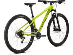 Specialized Rockhopper 29, Olive Green/black -Fahrrad Paradies Geschaft 54d61ee0 6e15 4ff8 90c5 979a648d6181