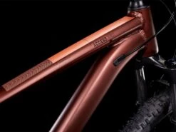 Cube Access WS Pro 29, Rubymetal´n´pink -Fahrrad Paradies Geschaft 5d3026d7 0415 4cf4 8106 afd8eae1854a