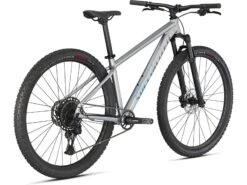 Specialized Rockhopper Expert 29, Silver Dust/black Holographic -Fahrrad Paradies Geschaft 5f974e18 95de 4a2d 9cae daa10ed391ac