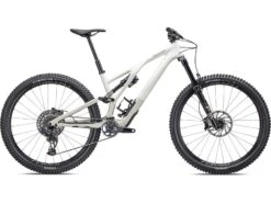 Specialized Stumpjumper Evo Expert, Gloss Birch/taupe
