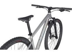 Specialized Rockhopper Expert 29, Silver Dust/black Holographic -Fahrrad Paradies Geschaft 66ba976f cf9d 4a42 85c9 a0ee731e60c0