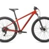 Specialized Rockhopper Comp 29, Redwood/smoke