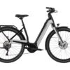 Cannondale Mavaro Neo 5+, Cashmere
