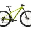 Specialized Rockhopper 29, Olive Green/black