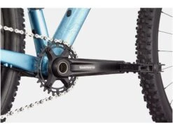 Cannondale Trail Women's SL 3, Slate Gray -Fahrrad Paradies Geschaft 89554177 6c1b 4acf 892e 2c6ea78160eb