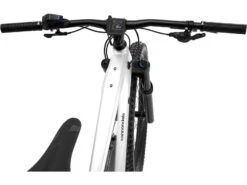 Cannondale Moterra Neo 3 - 29, Mercury -Fahrrad Paradies Geschaft 89771746 64b0 49a1 9232 5848464a8e84