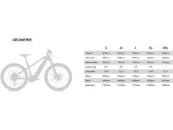 Conway Cairon S 4.0 Trapez, Pearlwhite / Black Metallic 5 Conway Cairon S 4.0 Trapez, Pearlwhite / Black Metallic -Fahrrad Paradies Geschaft 91446905 6c1e 4dba 90fe c9360f881878