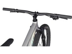 Specialized Rockhopper Expert 29, Silver Dust/black Holographic -Fahrrad Paradies Geschaft 9c78b5cf 8b4a 4231 b6b4 611556d4ab35