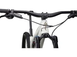 Specialized Stumpjumper Evo Expert, Gloss Birch/taupe 11 Specialized Stumpjumper Evo Expert, Gloss Birch/taupe -Fahrrad Paradies Geschaft b2f1b6e1 745e 40a5 b024 77b2adc97981