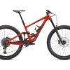 Specialized Enduro Comp, Redwood/smoke