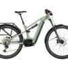 Cannondale Moterra Neo EQ, Agave