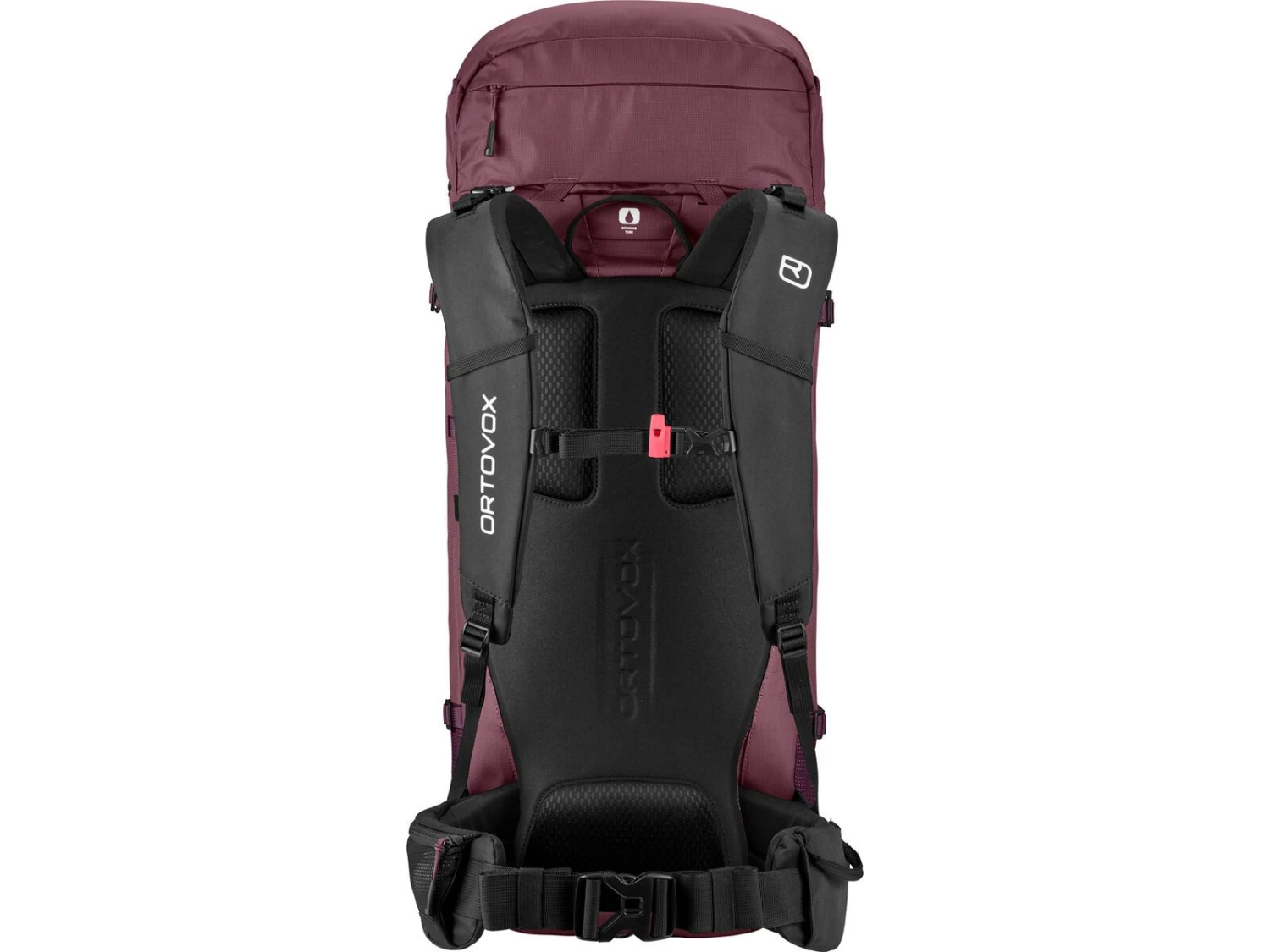 Ortovox Peak Light 30 S, Winetasting 2 Ortovox Peak Light 30 S, Winetasting – Bild 2